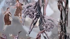 Rotary Adventskalender 2020